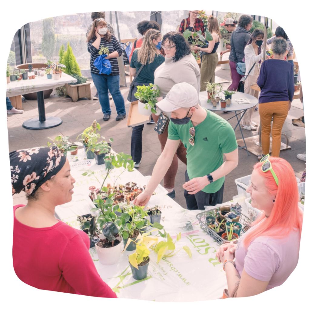 Houseplant Swap by Cornell Farms at Bethany Village Spring Market