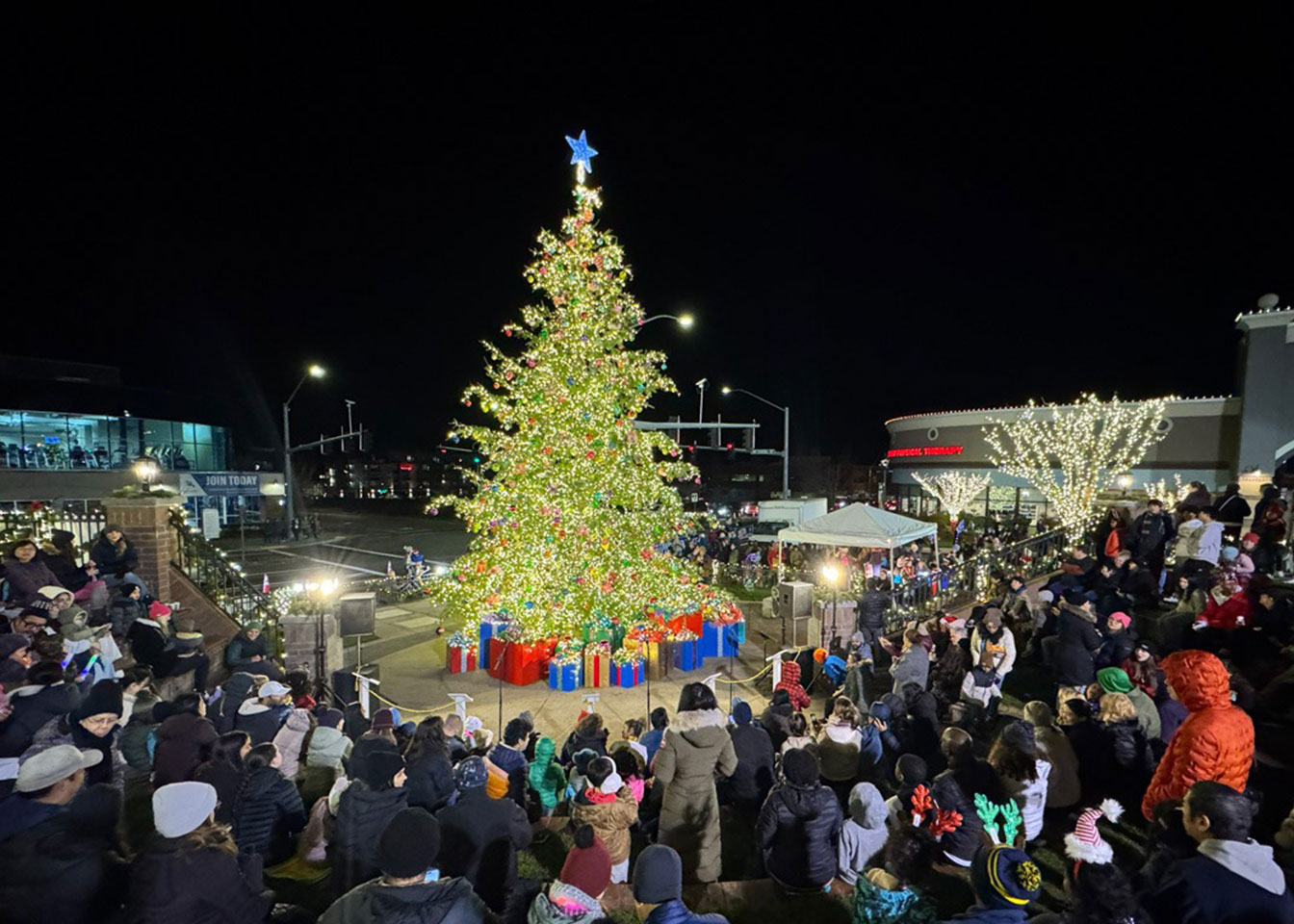 tree1.jpg