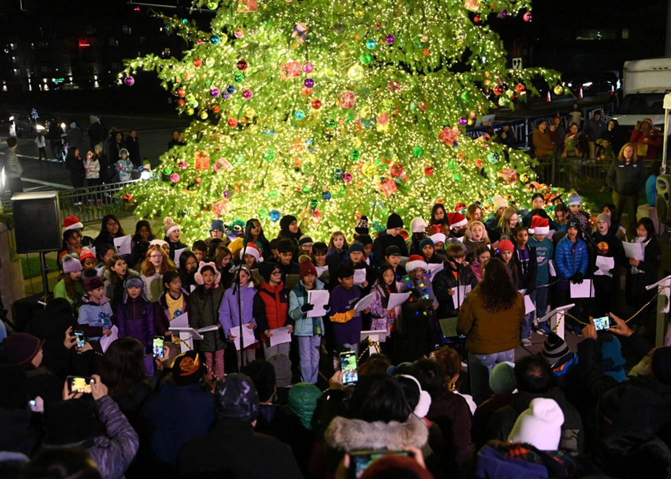 tree5.jpg